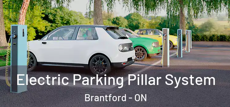  Electric Parking Pillar System Brantford - ON