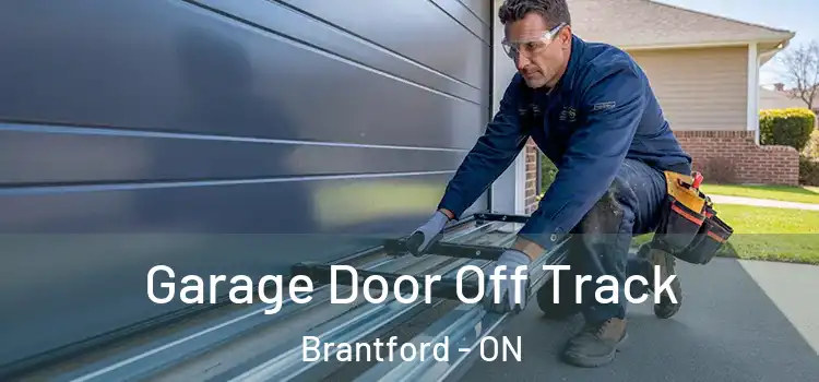  Garage Door Off Track Brantford - ON