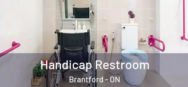  Handicap Restroom Brantford - ON