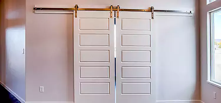 Glass Barn Door with Installation Hardware Kit Brantford
