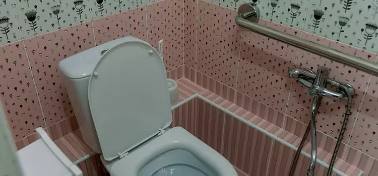 Meeting Diverse Needs With Accessible Restroom Solutions in Brantford, ON