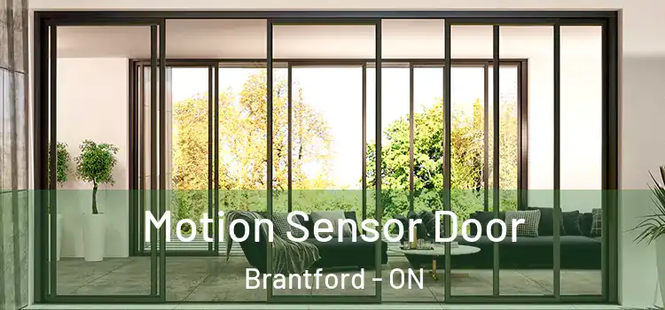  Motion Sensor Door Brantford - ON