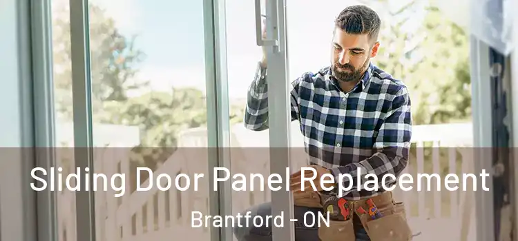  Sliding Door Panel Replacement Brantford - ON
