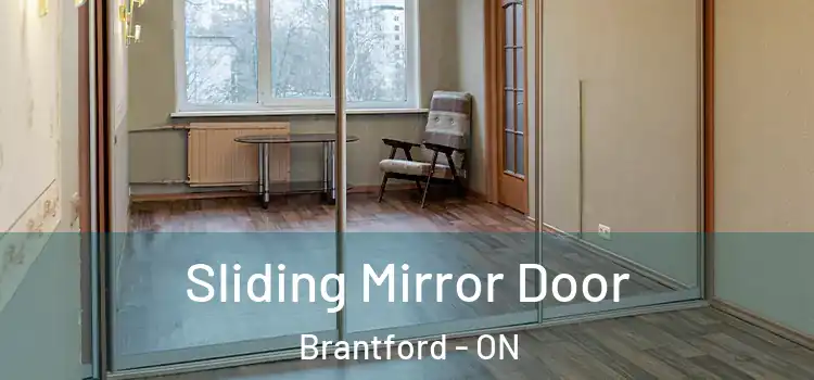  Sliding Mirror Door Brantford - ON